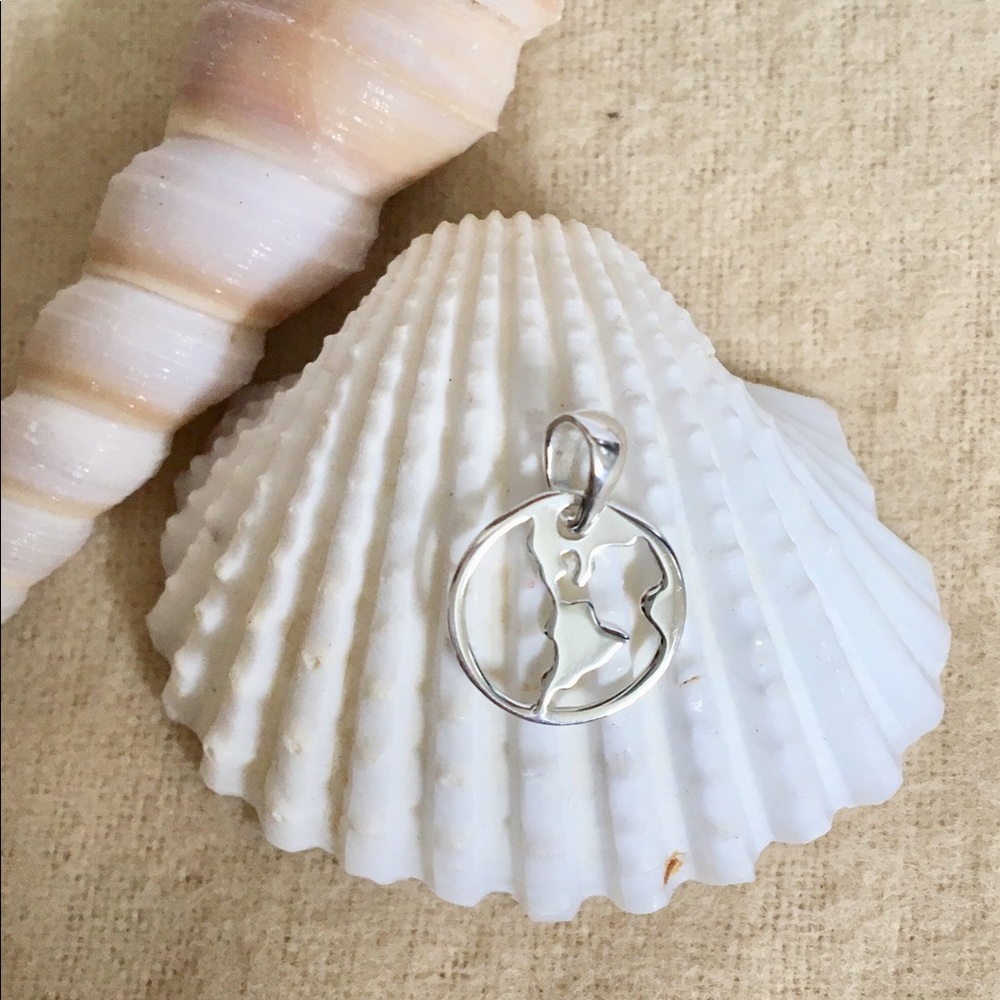 🌍Silver Earth Pendant🌎
